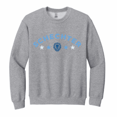 Schechter Crewneck GREY